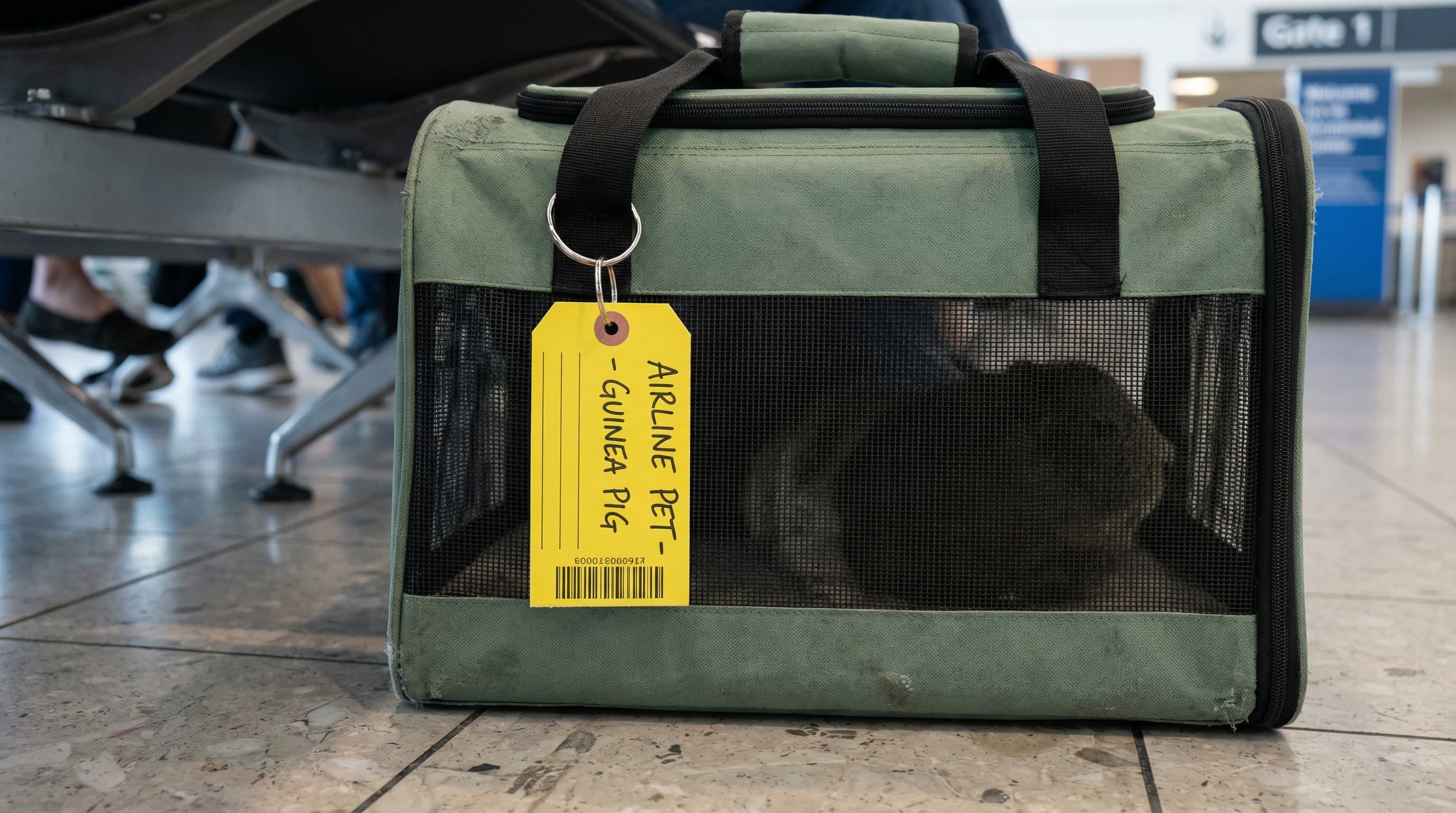 Soft-sided pet carrier on airport terminal floor with yellow airline pet tag on the handle, guinea pig visible through the mesh