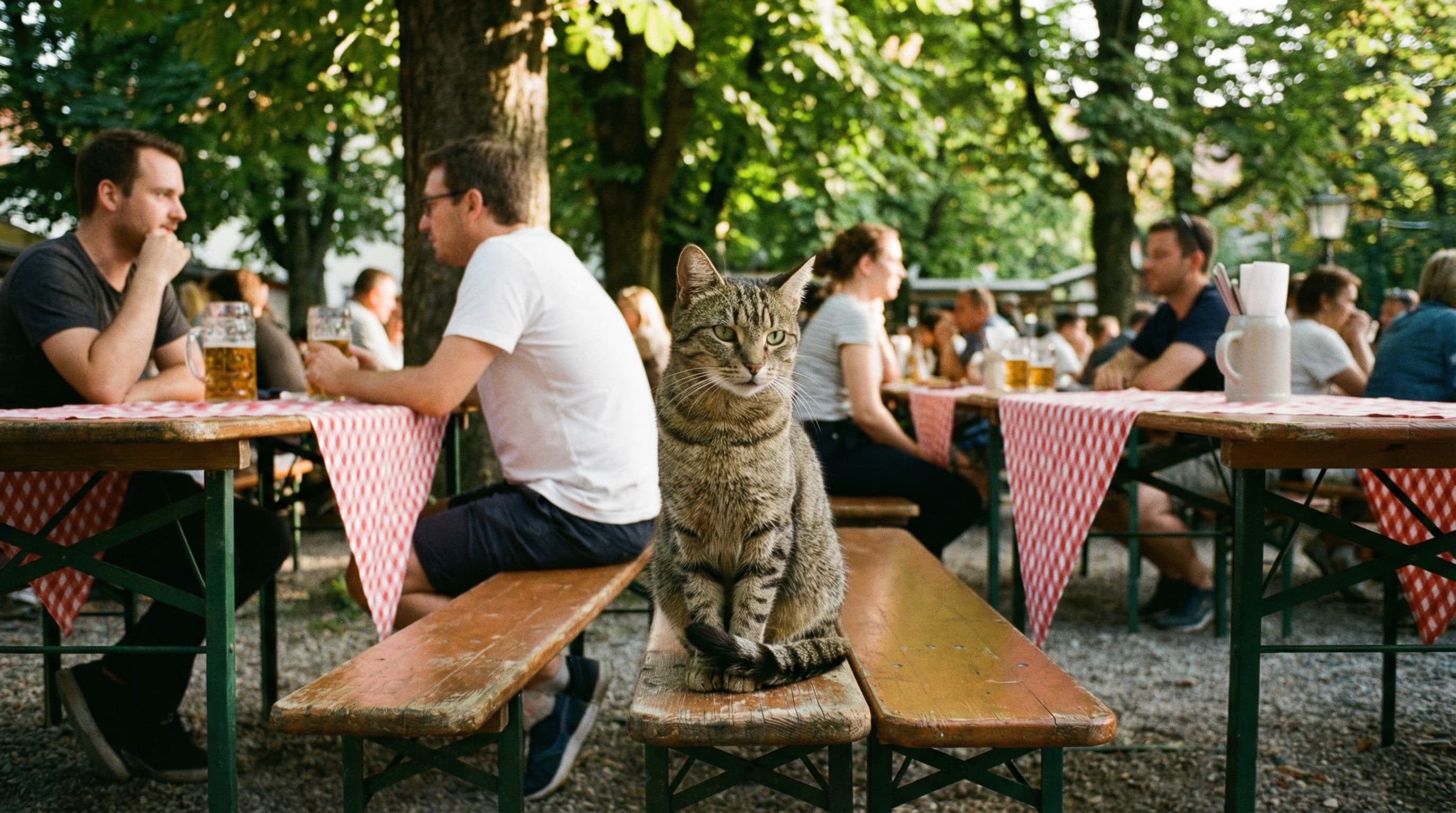 Bringing a Dog or Cat to Germany from the US — 2026 Requirements
