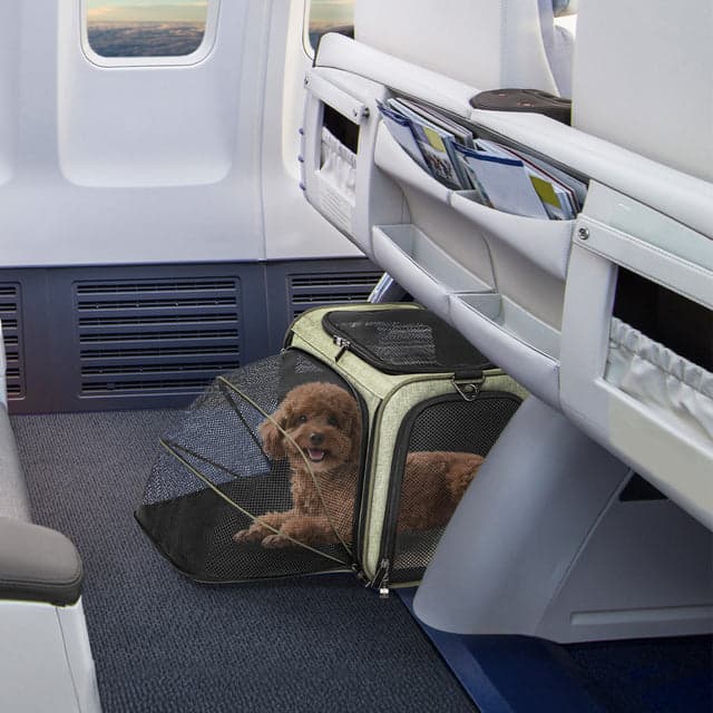Petsfit 2 Side Expandable Airline Approved Pet Carrier at the airport
